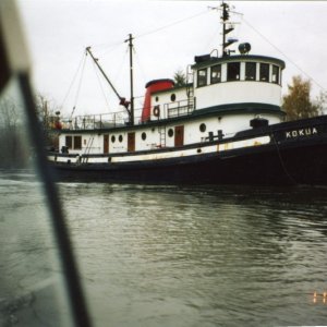6 Nov 2004:  During the Snohomish River Run we saw the Kokua, a tugboat once owned by Sause Bros. of Coos Bay.  Joe worked on this boat in the 1970s.