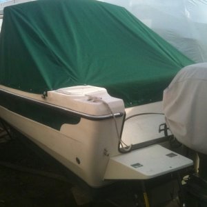 Swim platform and cover
