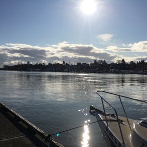 2/5/20 - Sand Island Marine Park, across the channel from St. Helens, WA