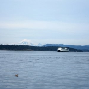 Mt Baker and ferry