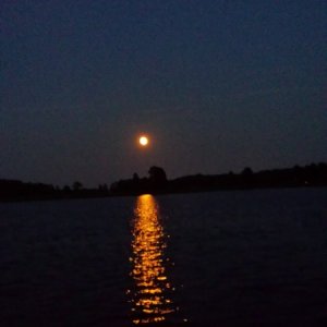 Our view while sitting on the dock at River Rest