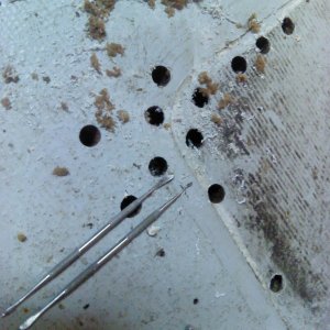 I was still digging out failed balsa six inches away from the leak.  This is a good photo of the waxy look of wet balsa.