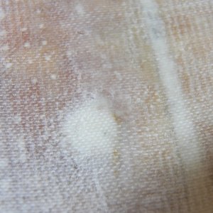 Here is the other edge (new balsa to the right).  The dividing line has two layers of 6 oz. cloth, with the second layer having strands removed, then the first layer of cloth, with strands removed from its edge.  All was faired by the release cloth.  No sanding and the repair will be easily covered with deck texture.  The light dot in the center is a test hole that was filled with epoxy putty when I determined that the water damage didn't go out that far.