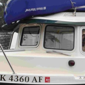 Boat Dog