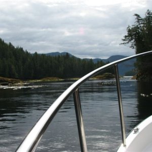 Jackson Narrows