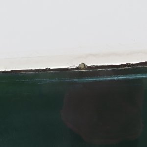 Rub rail completely off