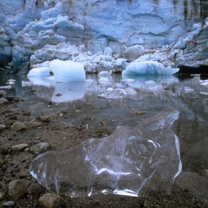 Lamplugh Glacier ice, Glacier Bay NP, AK