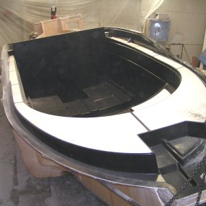 (Pat Anderson) Cabin mold 4-14-06