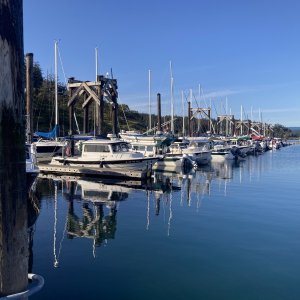 9B5E372E-16C4-464D-92CD-25BAE52EE122