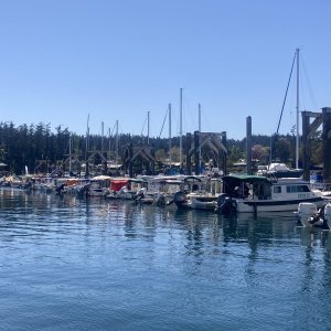 6961EFB9-88FA-496D-A727-C66E3BBA0C90