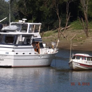 Salty Looks So Small Here