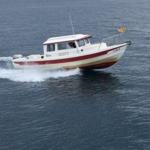 Picture taken by Palmetto Paradise