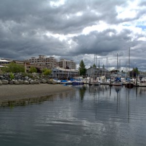 Port Plaza public beach and Fiddlehead Marina