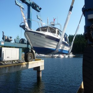 Best Hull Pictures (26)
