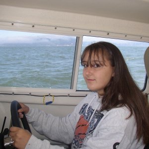 Shelby Driving in Sanfrancisco Bay