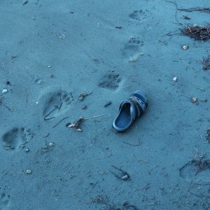 We weren't the first ones on the beach that morning.