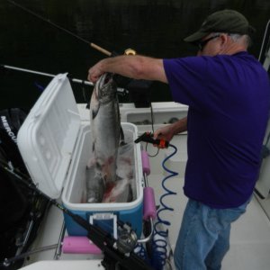 Captain Rick handling the fish