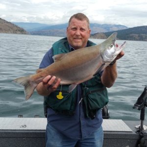 Kokanee 8.77 lbs 
BC, Canada 08 2015