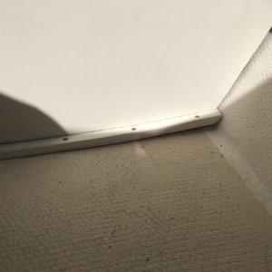 IMG 0908