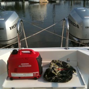 We're a Honda family :)  The generator cover is waterproof and made by Honda