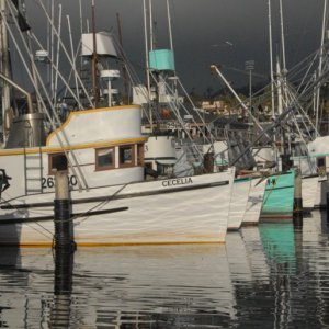 Islander080
