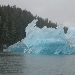 Tracy Bay, South of Juneau, AK  Much Better than Glaicer Bay