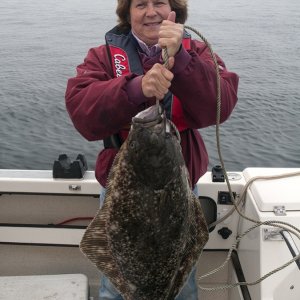 Media 'Swiftsure Halibut' in album 'Spot Shrimp Discovery Bay'
