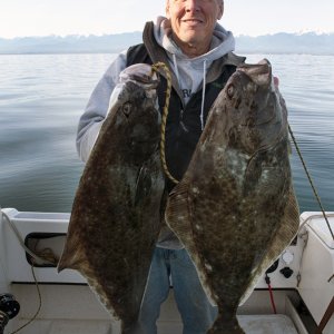 Media 'First halibuts for the new boat!' in album 'Spot Shrimp Discovery Bay'