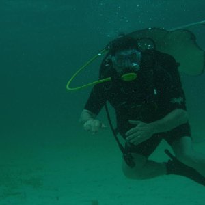 Tomm buzzed by hungry sting rays