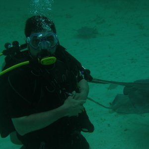Tom ..... Diver