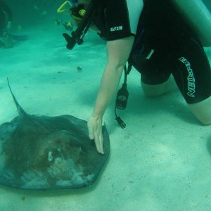 Susan petting stingrays.....Very velvety