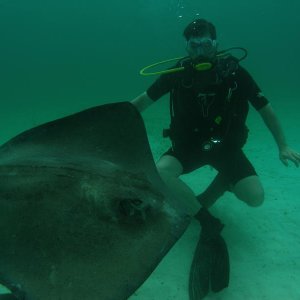 Tommy and sting ray Fred