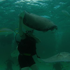 Susan  feeding Fred his favorite .....Squid