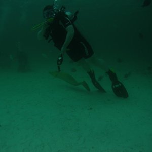 Morey Ell like susan... she has squid