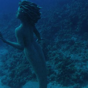 Mermaid at 55 ft sunset house
