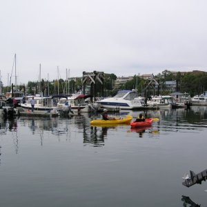 Friday Harbor 2010 004
