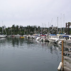 Friday Harbor 2010 007