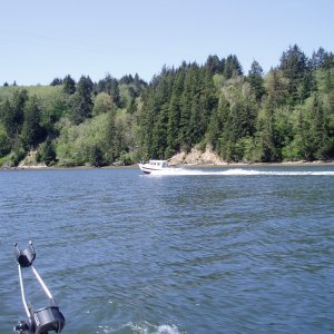 Ramblin Rose 4/22/06 Yaquina River