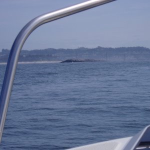 Our first ocean outing -- On our way back into Newport 5/20/06