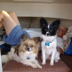 Media 'The kids join me for some R&R' in album 'First  Mate
 Daisy Mae'