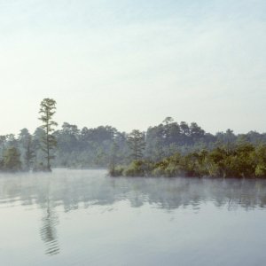 Mist on the West Neck Creek-7
