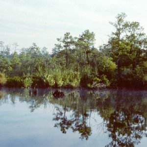 West Neck Creek before ICW