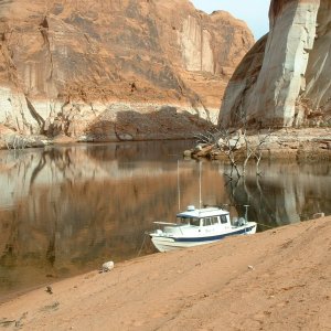 powell 06