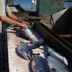3 hours of fishing