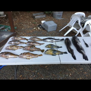 The fish that it held and room for more