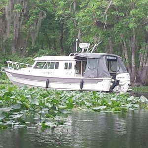 Traveler leads our safari