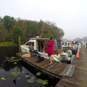 Joyce (Out2C) talking with Betty (Molly Brown) on a foggy morning while Lily and Ifas relax.