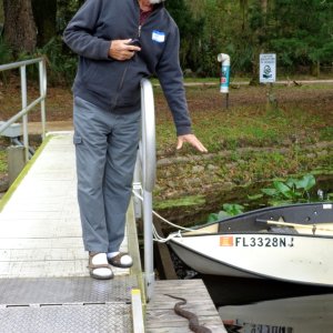 Tom (Traveler) shows by perspective the SIZE of this snake.