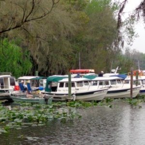 I love seeing all the C-Dory's and Cape Cruisers lined up!