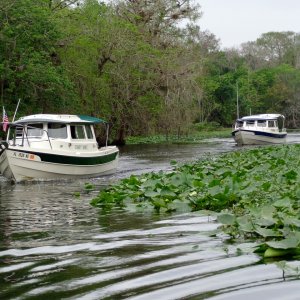 I love this river! Comfy Dory, Y-Knot, and Blues Cruiser.